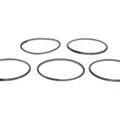 Remeha 720480101 Burner Gasket - 5 Pcs - Avanta Plus Combi