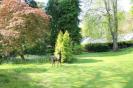 image01