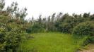 image01