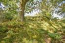 image01