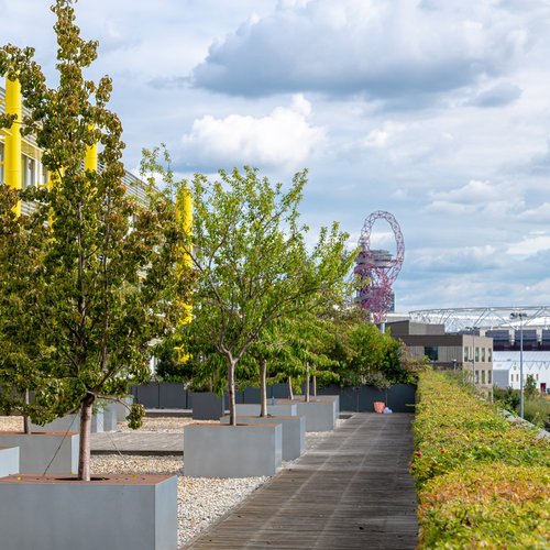 vb2063639_Urban-Orchard-2022-WeDesign-3Z6A6682_1600x1067 (1)