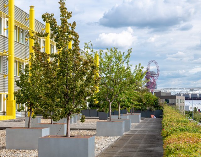 vb2063639_Urban-Orchard-2022-WeDesign-3Z6A6682_1600x1067 (1)