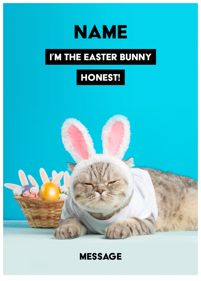 Funny Cat Easter Card - I'm the Easter Bunny!
