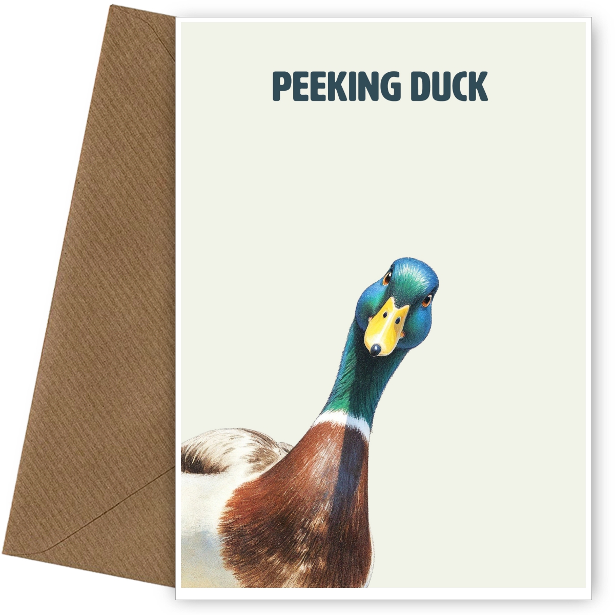 Peeking Duck Birthday Card - Funny Duck Pun - Male and Female Birthday Card