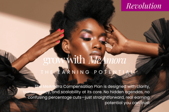 The Revolution Success Plan!