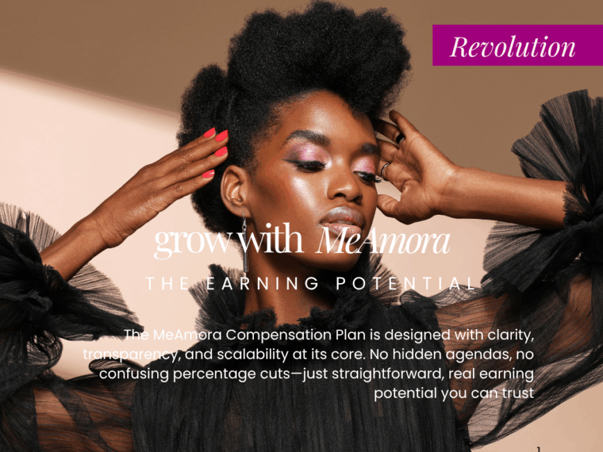 The Revolution Success Plan!