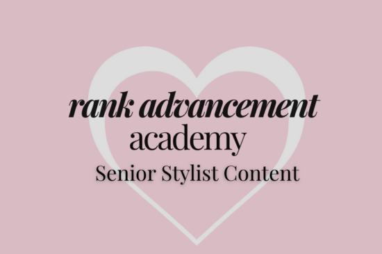 Senior Stylist Content – Info, Training Sessions & Worksheets