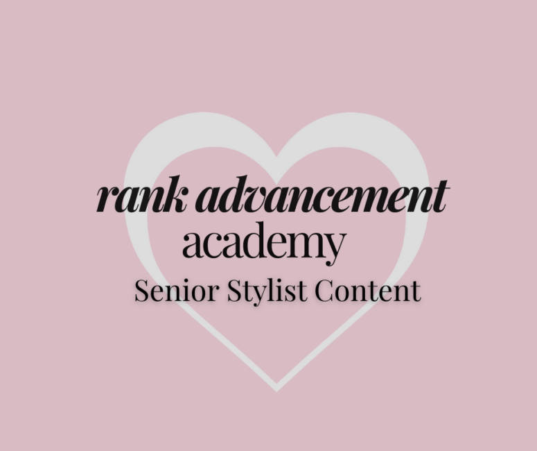 Senior Stylist Content – Info, Training Sessions & Worksheets