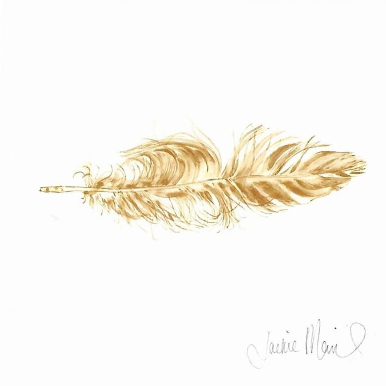 Signed Album Feather