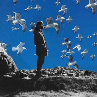 Pilgrim Bones SINGLE