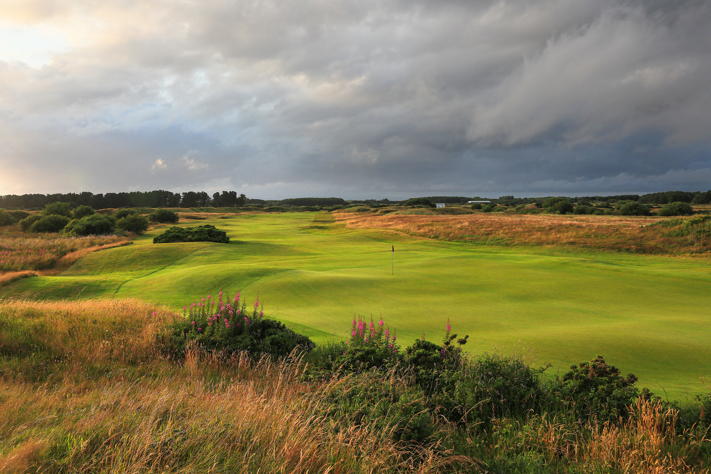 Gailes Links Experience