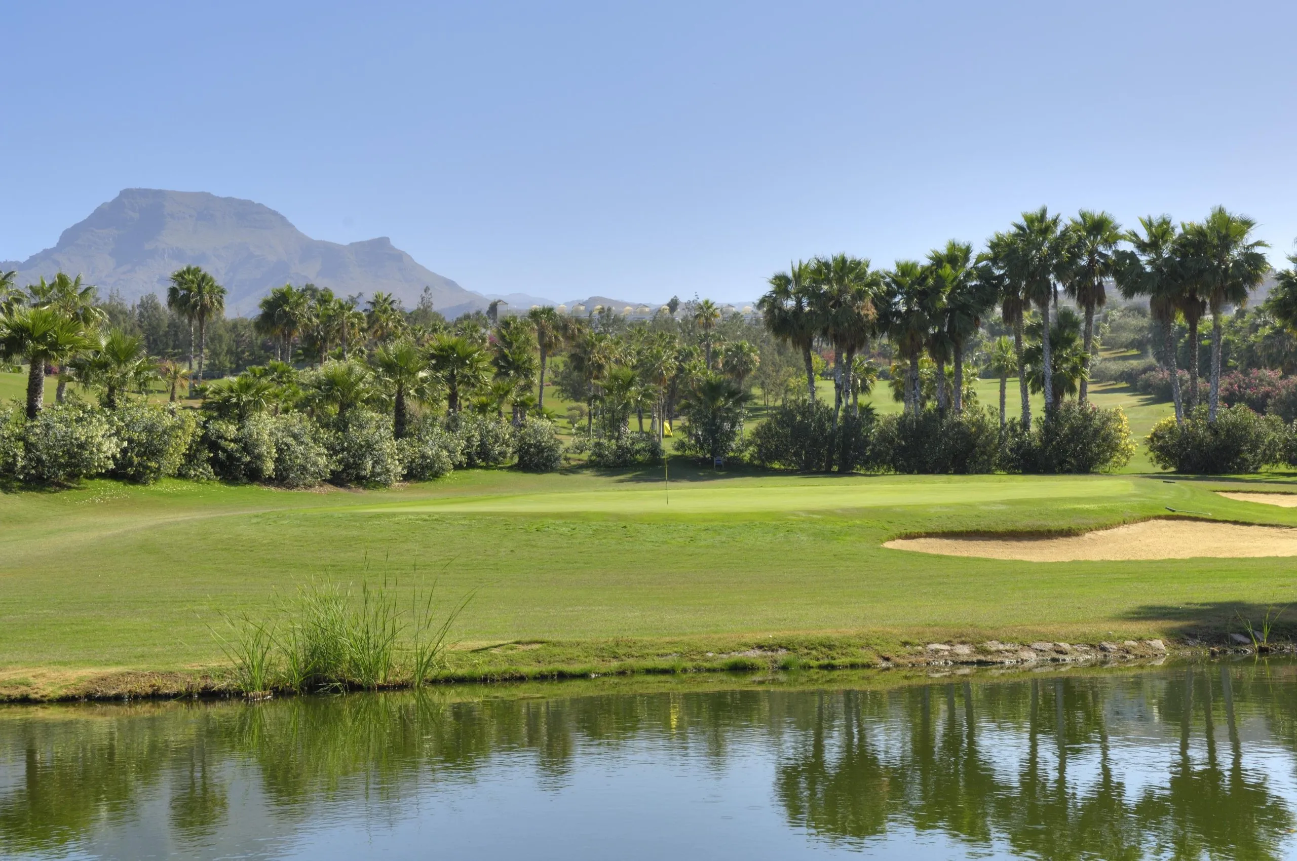 Melia Jardines del Teide