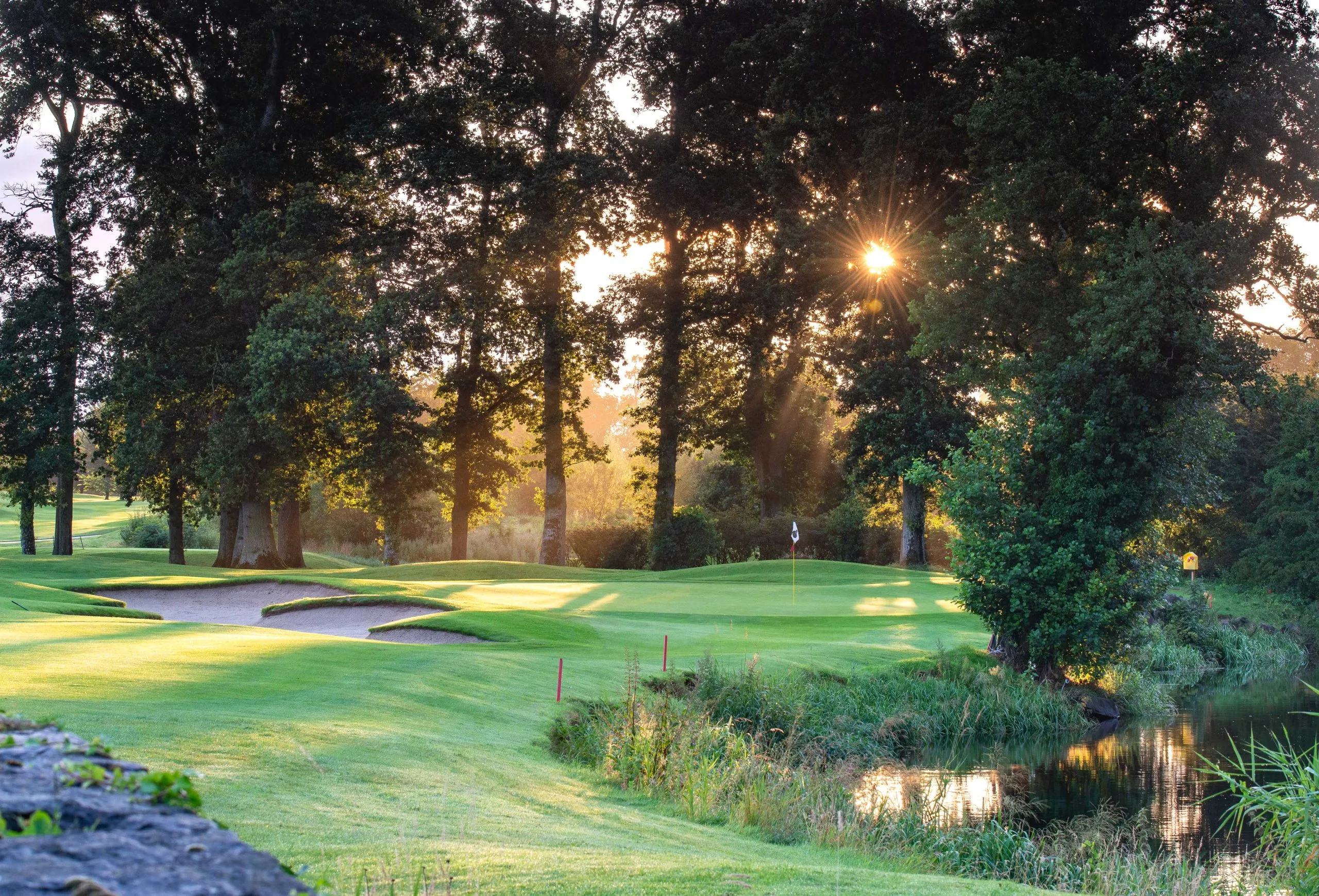 Palmer North Golf Course