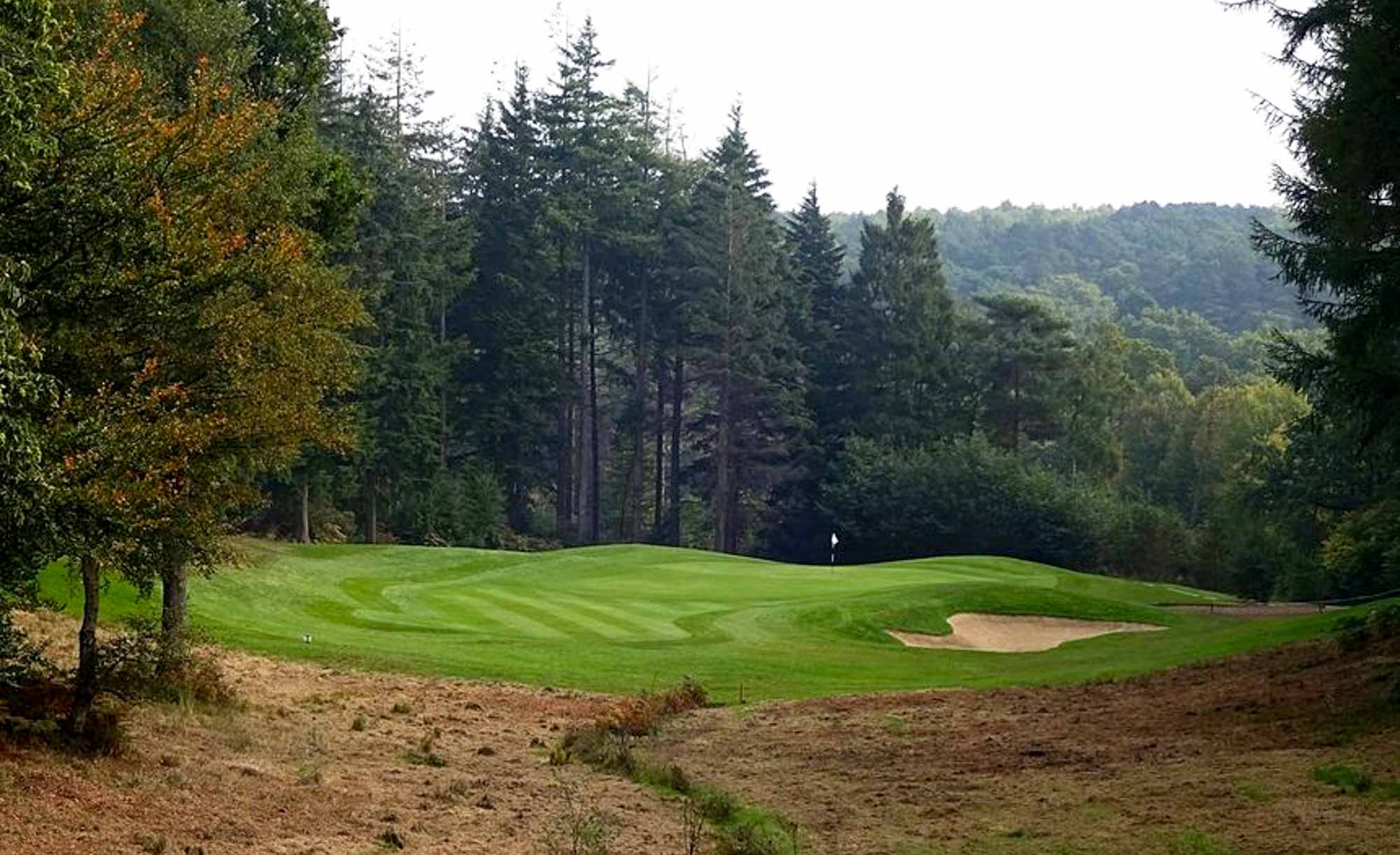 Remedy Oak Golf Club