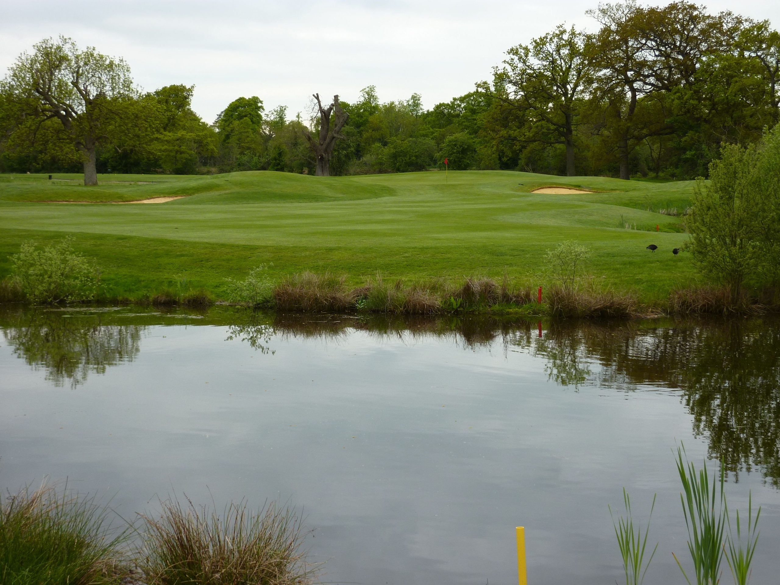 Wokefield Golf Course