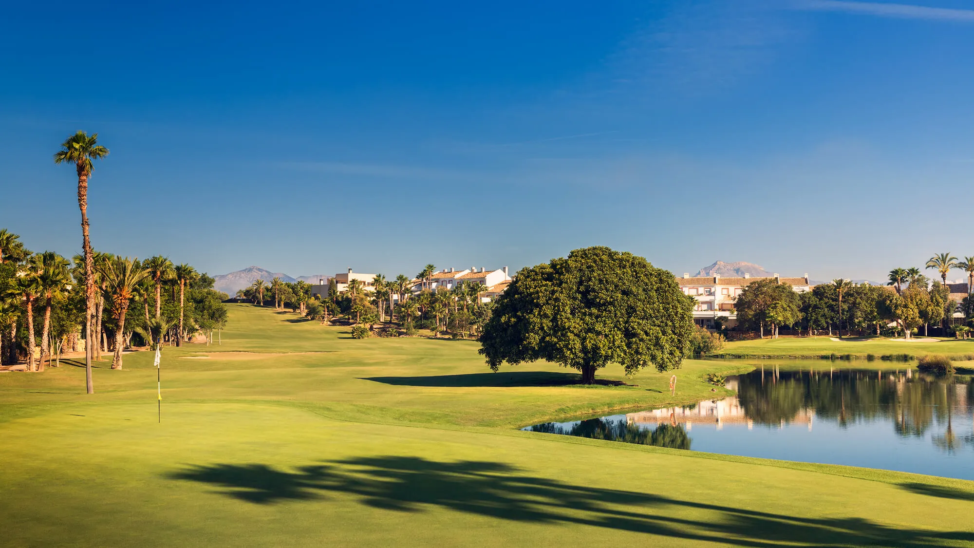 Alicante Golf