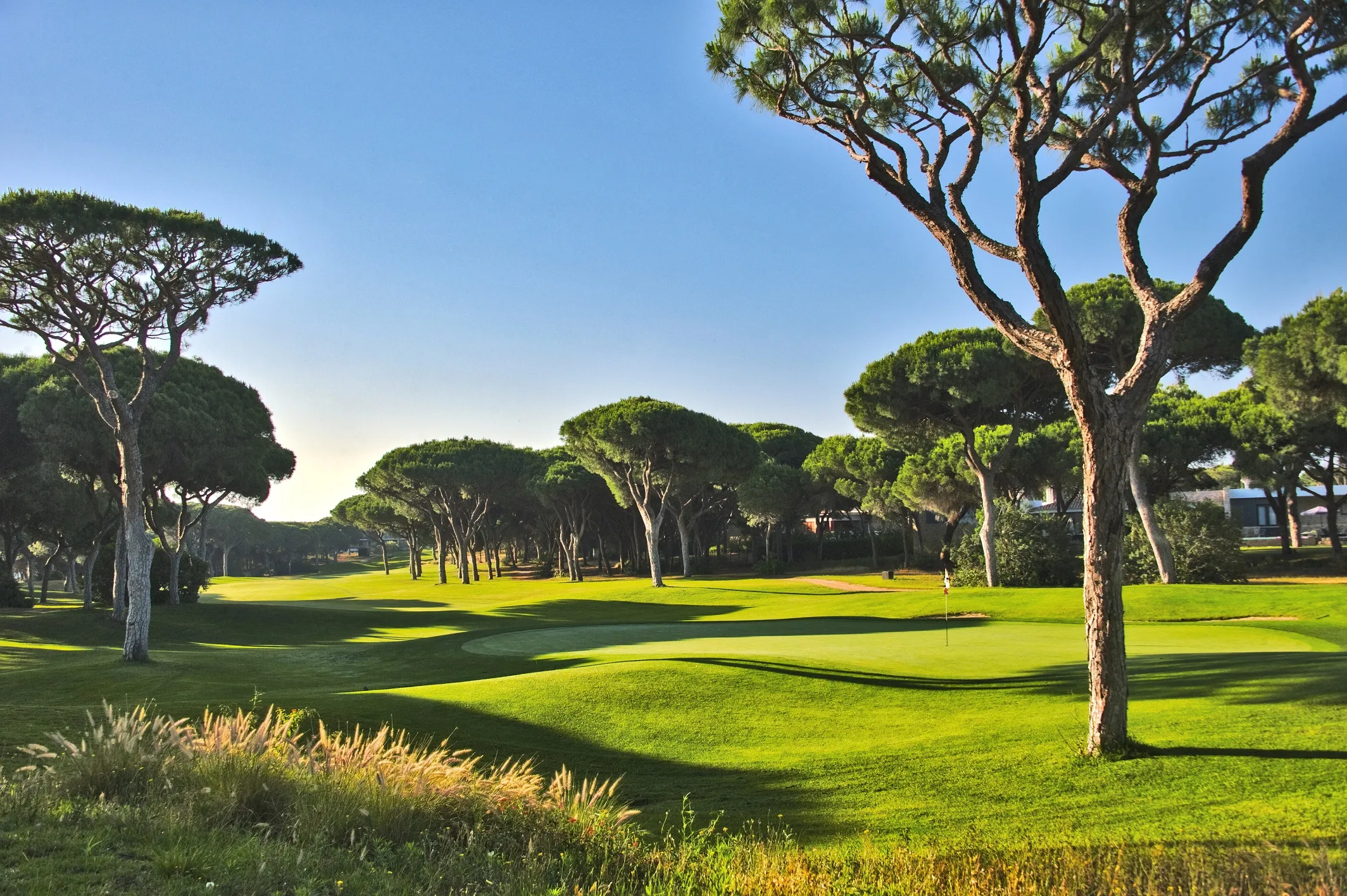 Play golf in Portugal at Millennium Golf Course Vilamoura