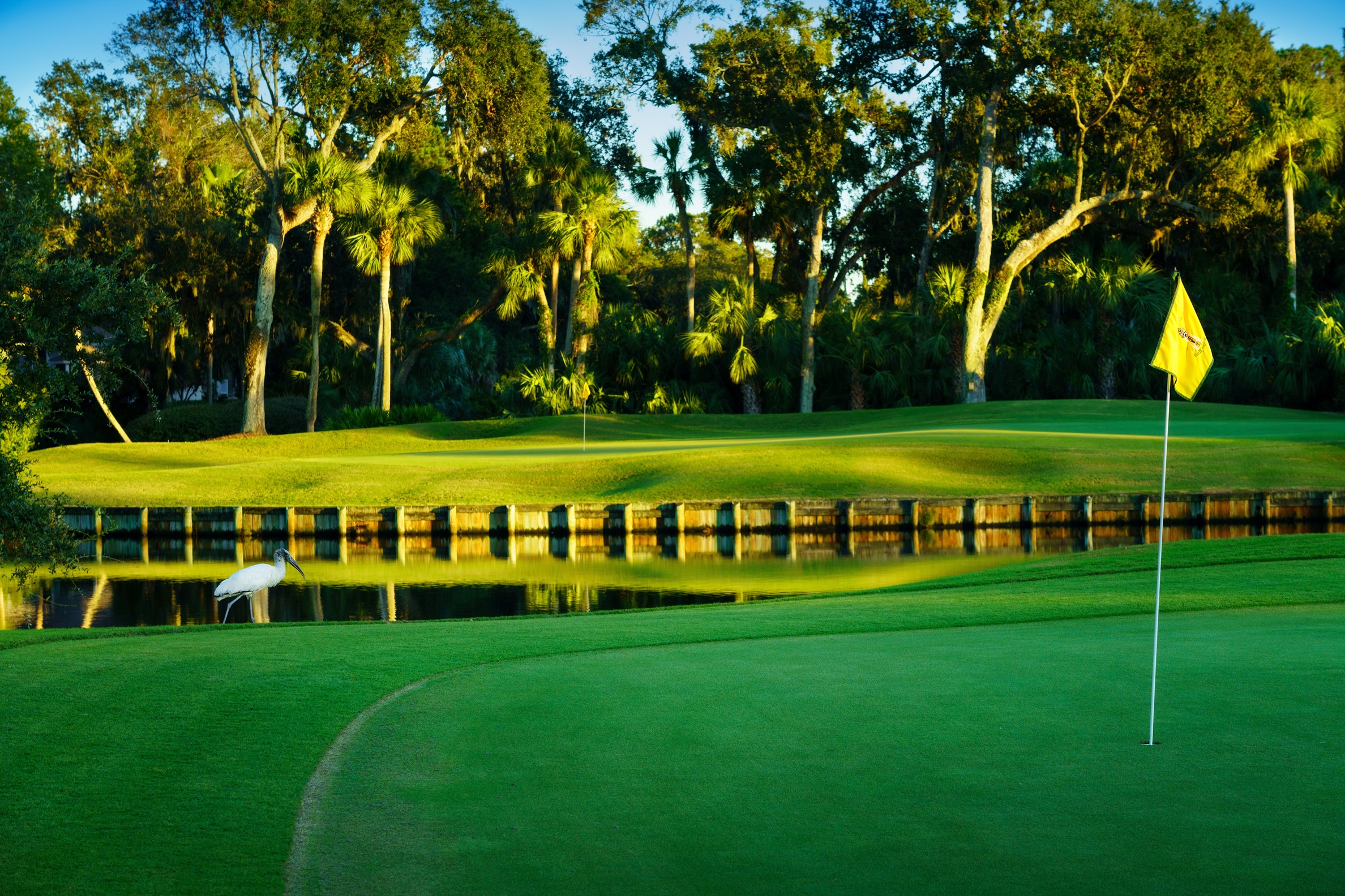 Palmetto Dunes Oceanfront Resort