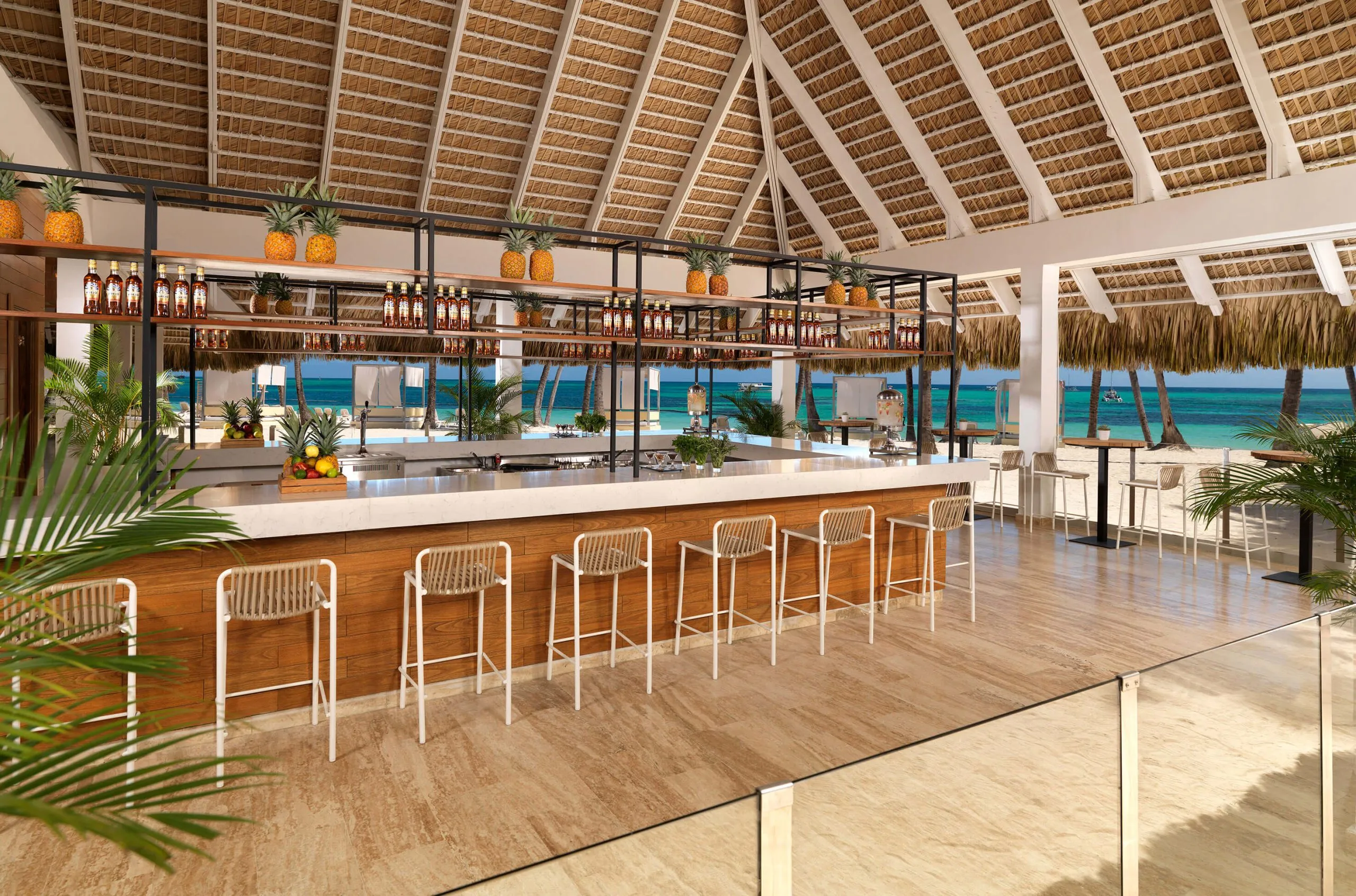 Melia Punta Cana Beach