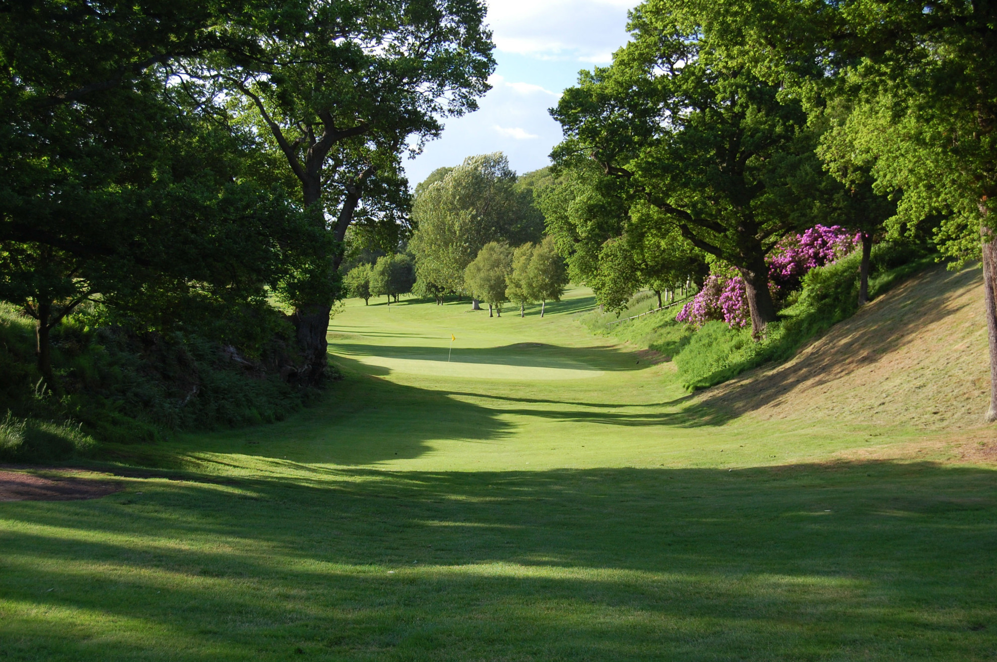Hawkstone Park