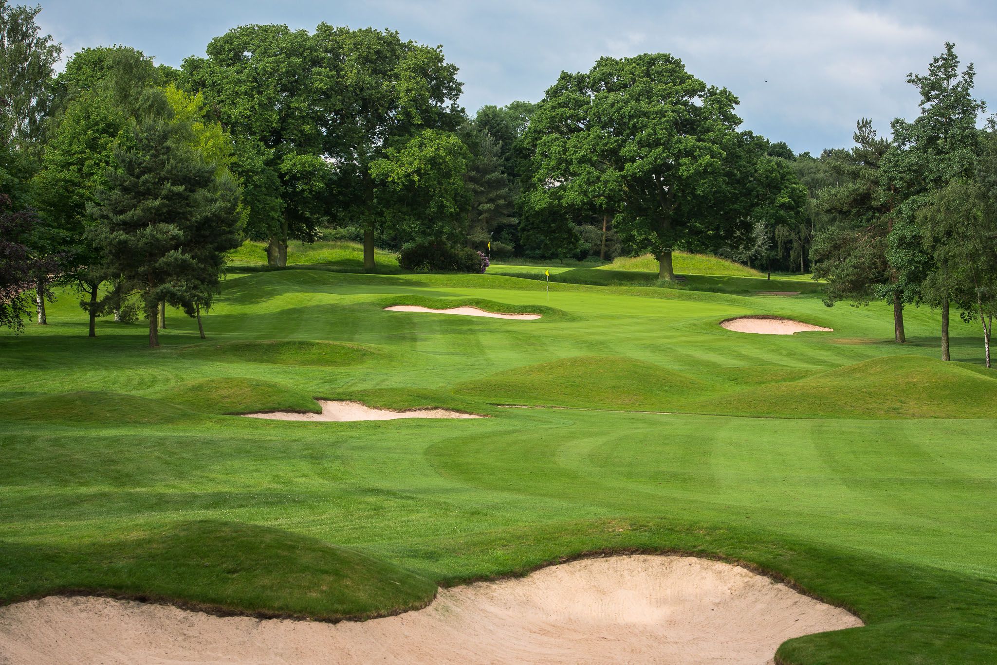 Harrogate Golf Tour