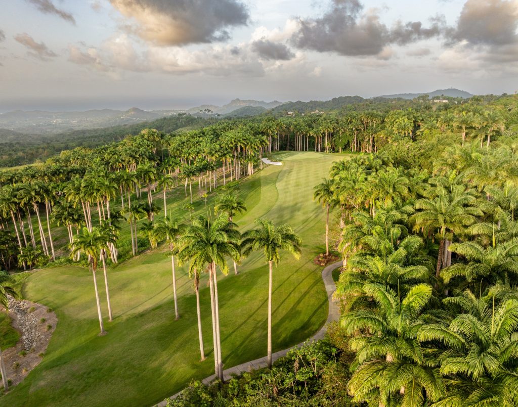 Play golf in Barbados at Apes Hill Golf Course.