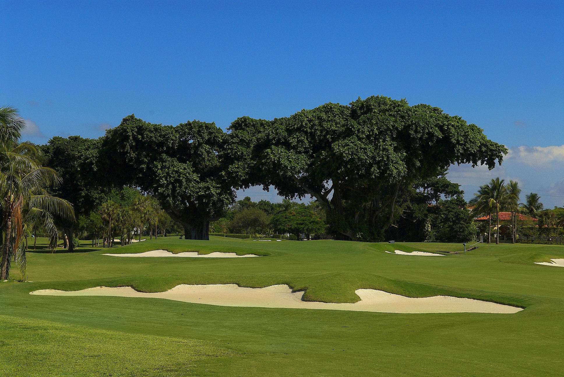 The Biltmore Golf Course