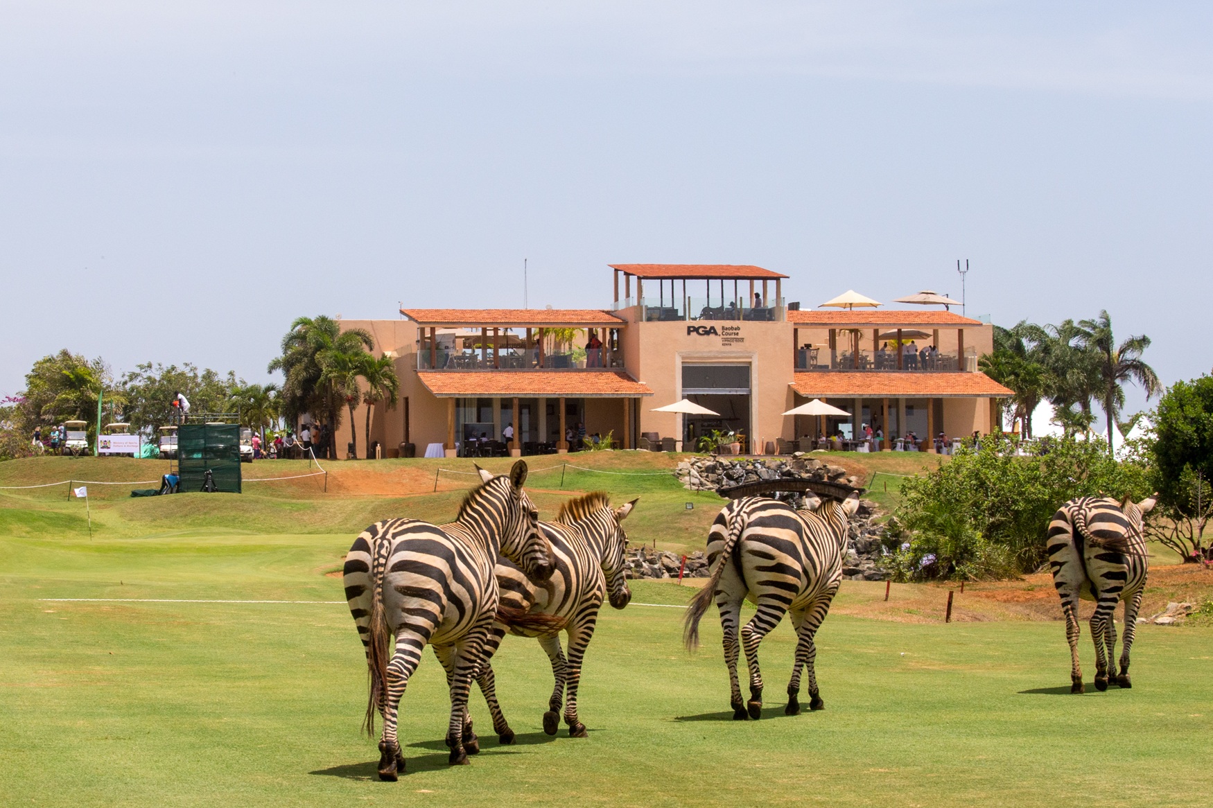 Vipingo Ridge