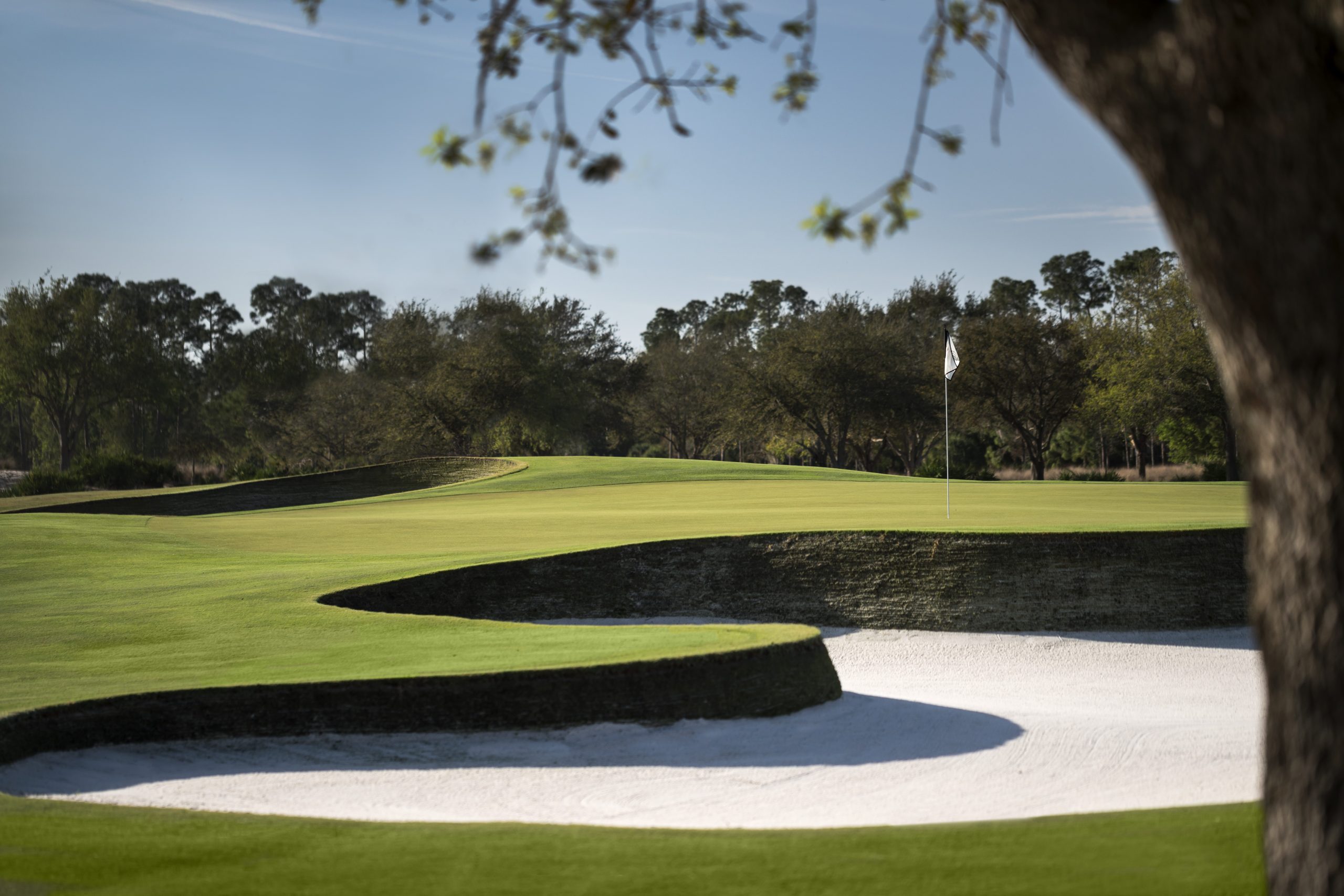 The Ritz-Carlton Naples, Tiburon
