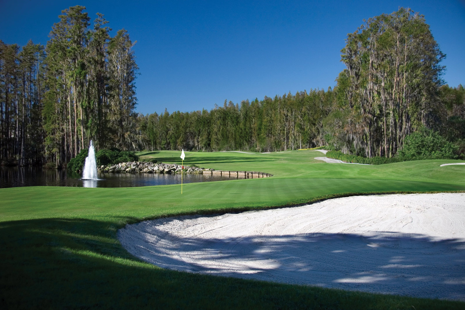Saddlebrook Golf Club