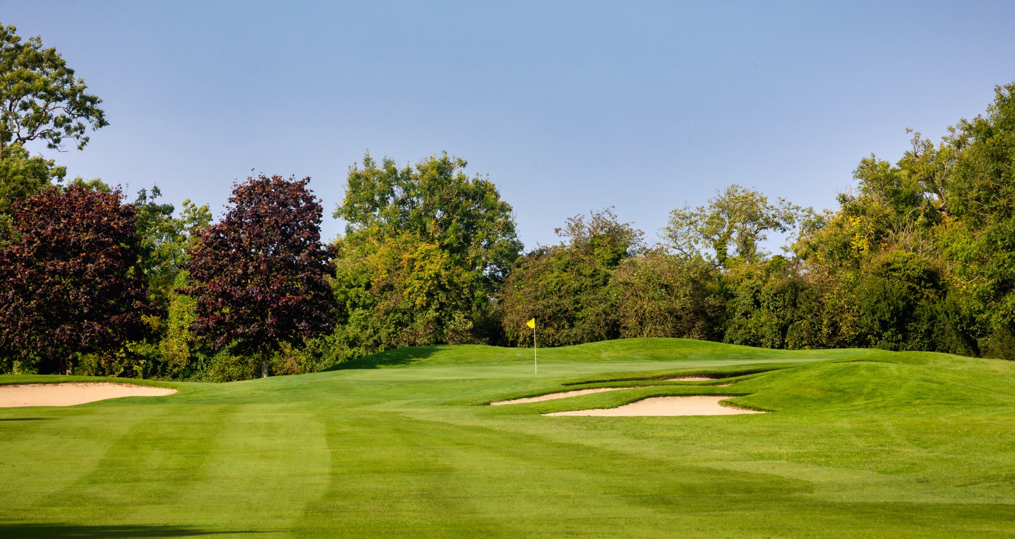 Kildare Golf Tour