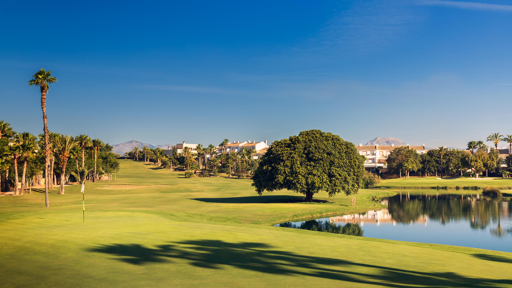 Melia Alicante