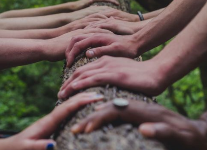 Hands on Tree 2