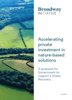 Accelerating private investment front cover