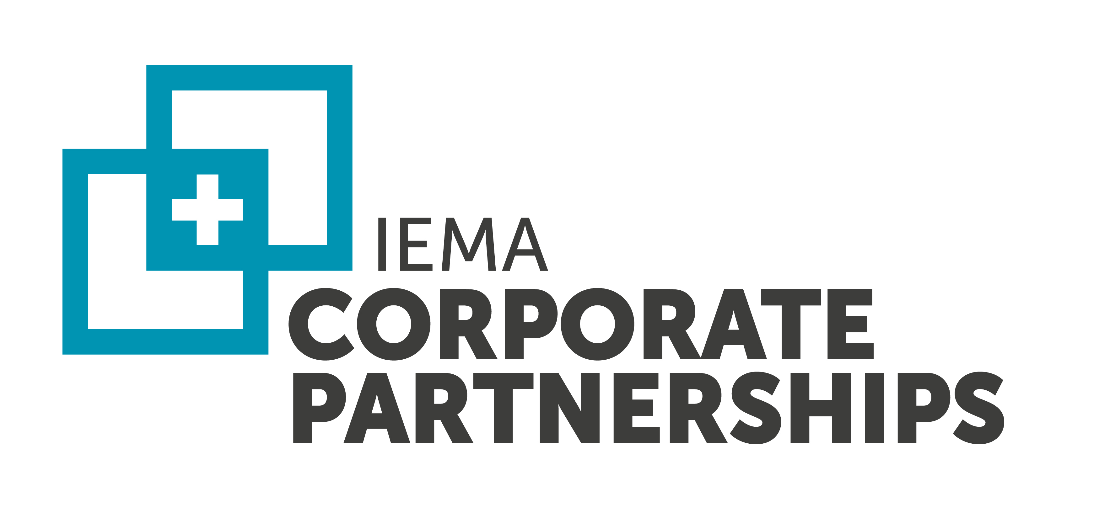 IEMA Corporate Partnerships Logo