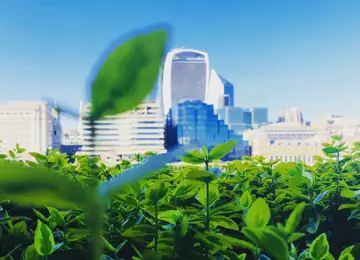 Web transform taskforce on nature related financial disclosures launched credit istock 1222647141