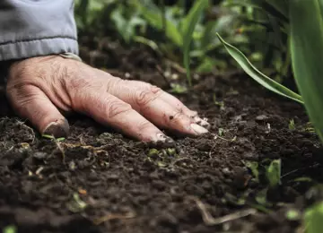 Web p8 New land and soils guidance for EIA i Stock 687716000