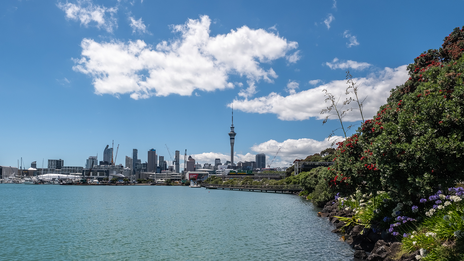 Auckland skyline