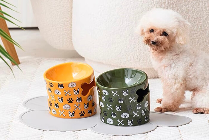 a small dog next to two Ceramic Dog Bowls