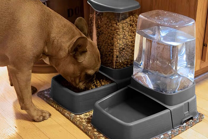 a dog is eating from a gravity dog feeder