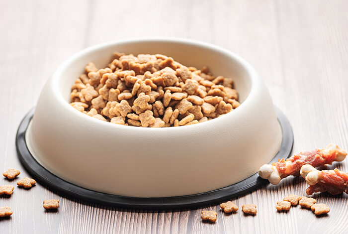 best dog food for German shepherds in a dog food bowl