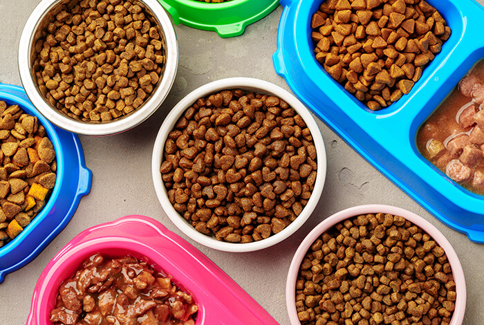 various types of dog food displayed in separate dog bowls