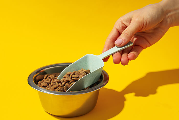 dog food in a dog bowl with a scooper
