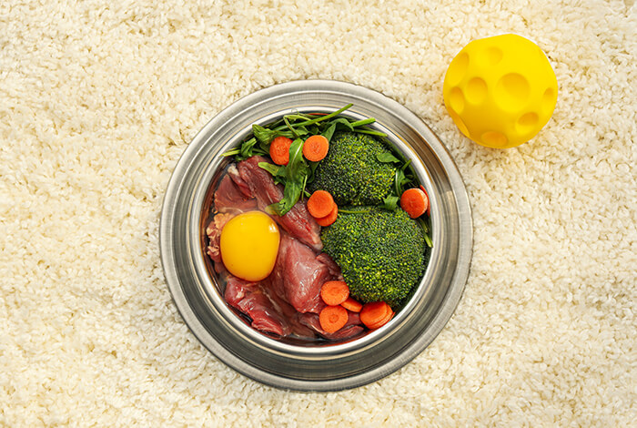 bowl of healthy raw dog food containing beef, egg yolk, broccoli, carrots, and greens, placed next to a yellow toy