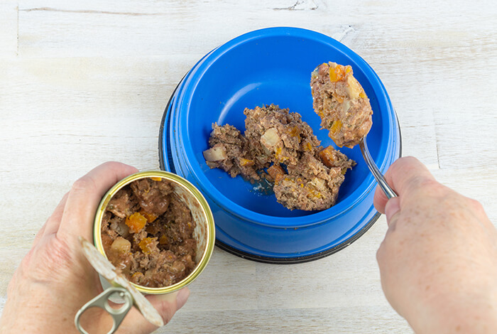 a dog owner putting canned food into his dog's food bowl