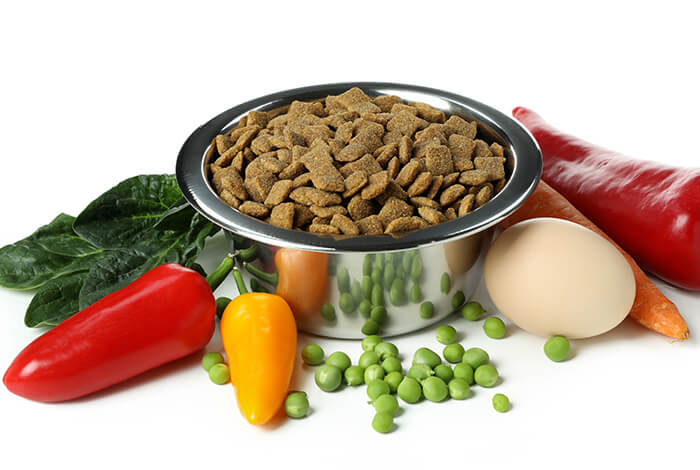 a food bowl filled with kibble and is surrounded by vegetables and an egg