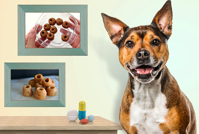 3 Homemade Natural Pill Pockets for Dogs