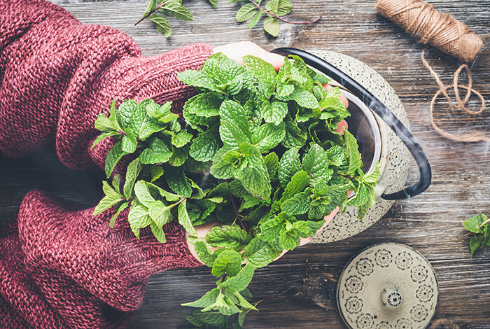 a woman wearing a sweater holding fresh mint leaves over a steaming teapot