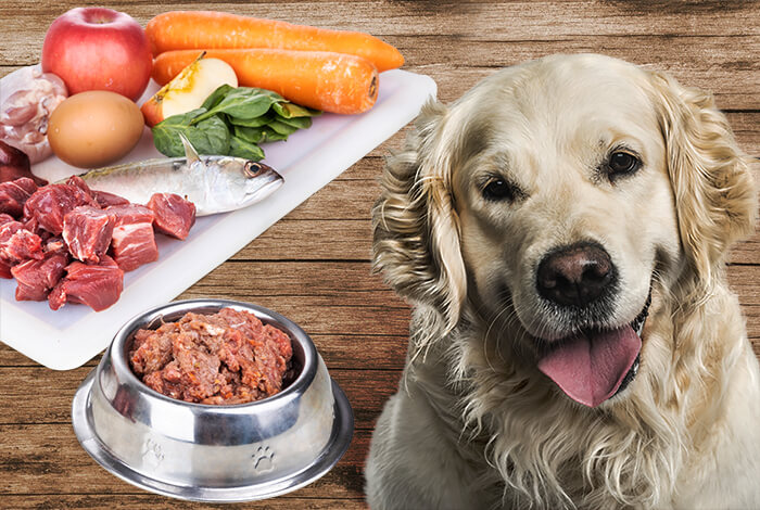 Cushing’s Disease in Dogs: Types, Treatment, Dietary Aid