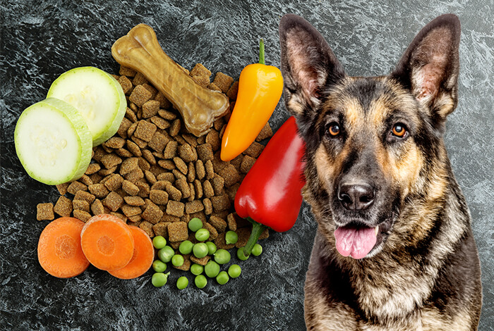 How to Choose the Best Dog Food for Your German Shepherds